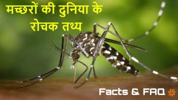 मच्छरों की दुनिया के रोचक तथ्य! Amazing Facts About Mosquito in Hindi with FAQs