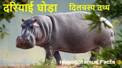 Hippo Facts: दरियाई घोड़े के अनसुने और मजेदार तथ्य हिंदी में
