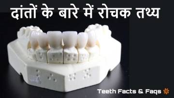 दांतों के बारे में 15 से अधिक रोचक तथ्य! 15+ Amazing Facts About Teeth in Hindi