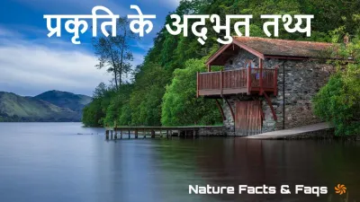 प्रकृति की गहराइयाँ: हैरान कर देने वाले तथ्य और जानकारियाँ! Nature Amazing facts