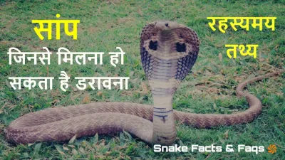 सांपों के रहस्य: जानिए वो सच जो आपको चौंका देगा! Scientific Snake Facts in Hindi