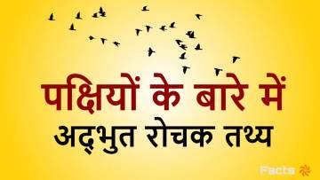 पक्षियों के अद्भुत रोचक तथ्य | Amazing Facts About Birds in Hindi
