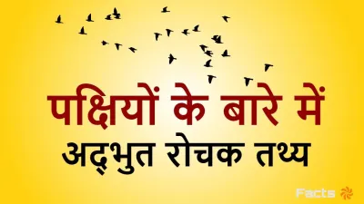 पक्षियों के अद्भुत रोचक तथ्य | Amazing Facts About Birds in Hindi