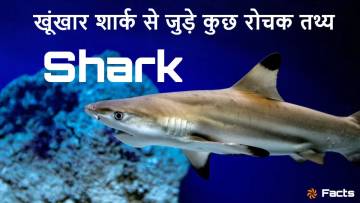 समंदर का राजा: शार्क के रोचक तथ्य | Interesting Facts about Sharks in Hindi