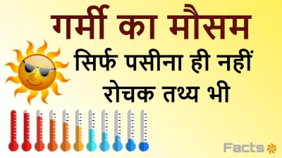 गर्मी का मौसम: सिर्फ पसीना ही नहीं, रोचक तथ्य भी! Interesting Facts about Summer