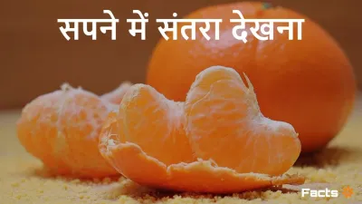 सपने में संतरा देखना: शुभ या अशुभ? Dreaming of Orange Meanings