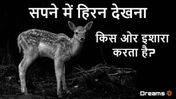 सपने में हिरन देखना: शुभ संकेतों की ओर इशारा! अर्थ और जीवन पर प्रभाव Dreaming of Deer Meanings