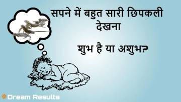 सपने में बहुत सारी छिपकली देखना: जानिए ज्योतिष और मनोविज्ञान के नज़रिए से अर्थ