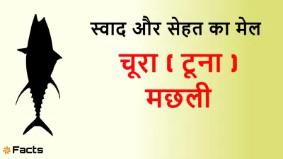चूरा मछली (टूना): स्वाद, सेहत और रोचक जानकारी का खजाना! Scientific Choora (Tuna) Fish Facts in Hindi