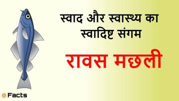 रावस मछली: स्वाद, पोषण और रोचक जानकारी का खजाना! Rawas Fish (Indian Salmon) Information &amp; Facts in Hindi