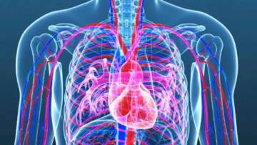 स्वस्थ दिल के लिए स्वादिष्ट आहार खाने का मज़ा, दिल का ख्याल: स्वस्थ जीवनशैली की स्वादिष्ट शुरुआत