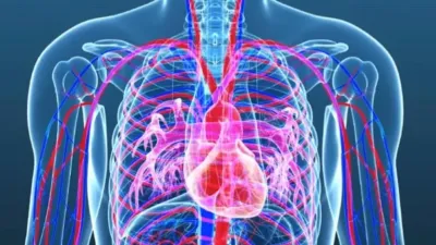 स्वस्थ दिल के लिए स्वादिष्ट आहार खाने का मज़ा, दिल का ख्याल: स्वस्थ जीवनशैली की स्वादिष्ट शुरुआत