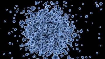 मंकीपॉक्स (Monkeypox) क्या है? समझें एमपॉक्स (Mpox) के कारण, लक्षण और बचाव