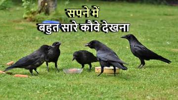 सपने में बहुत सारे कौवे देखना: अर्थ और संकेत! Seeing Many Crows in Dreams Meaning