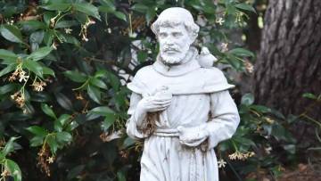 सादगी, करुणा और आध्यात्मिकता का प्रतीक: संत फ्रांसिस ऑफ़ असिसी के जीवन का चक्र