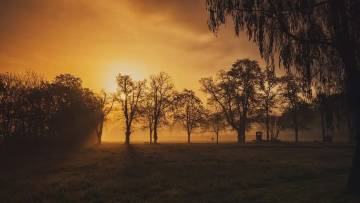 शाम के समय के 20 प्रेरणादायक विचार: शांति और नई संभावनाएँ