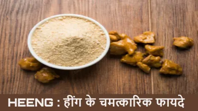 हींग: स्वाद और सेहत का ख़ज़ाना! हींग के चमत्कारी तथ्यों के बारे में Interesting Facts About Heeng in Hindi