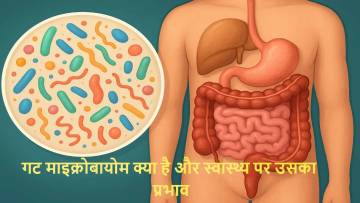 गट माइक्रोबायोम क्या है और स्वास्थ्य पर उसका प्रभाव: Gut Health, Immunity और मानसिक संतुलन