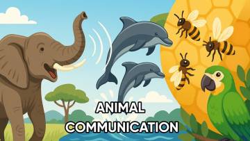 पशुओं में संवाद: Animal Communication के अद्भुत तरीके | रोचक तथ्य हिंदी में