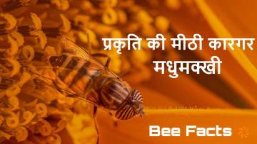 मधुमक्खी: प्रकृति की मीठी कारगर अनोखे और रोचक तथ्य The Honey Bee Facts