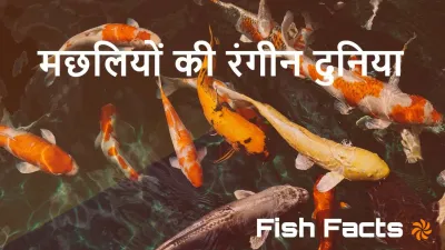 जल की रंगीन दुनिया: मछलियों के अद्भुत रोचक तथ्य! Amazing Facts About Fish