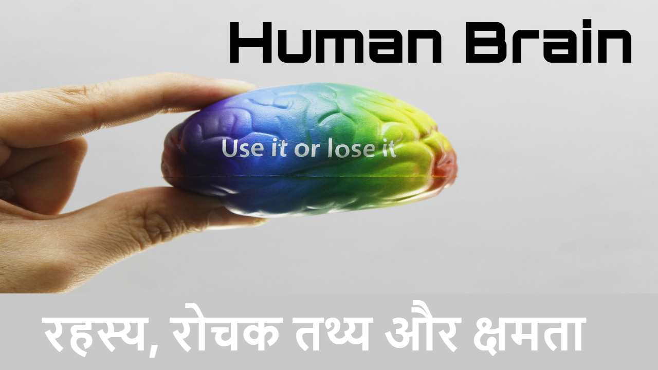 हम रोज़ इसका इस्तेमाल करते हैं, फिर भी नहीं जानते: मानव मस्तिष्क के चौंकाने वाले रहस्य