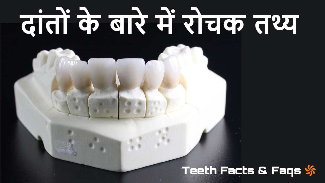 दांतों से जुड़ी वो सच्चाइयाँ जो स्कूल में कभी नहीं बताई गईं | 15+ रोचक तथ्य