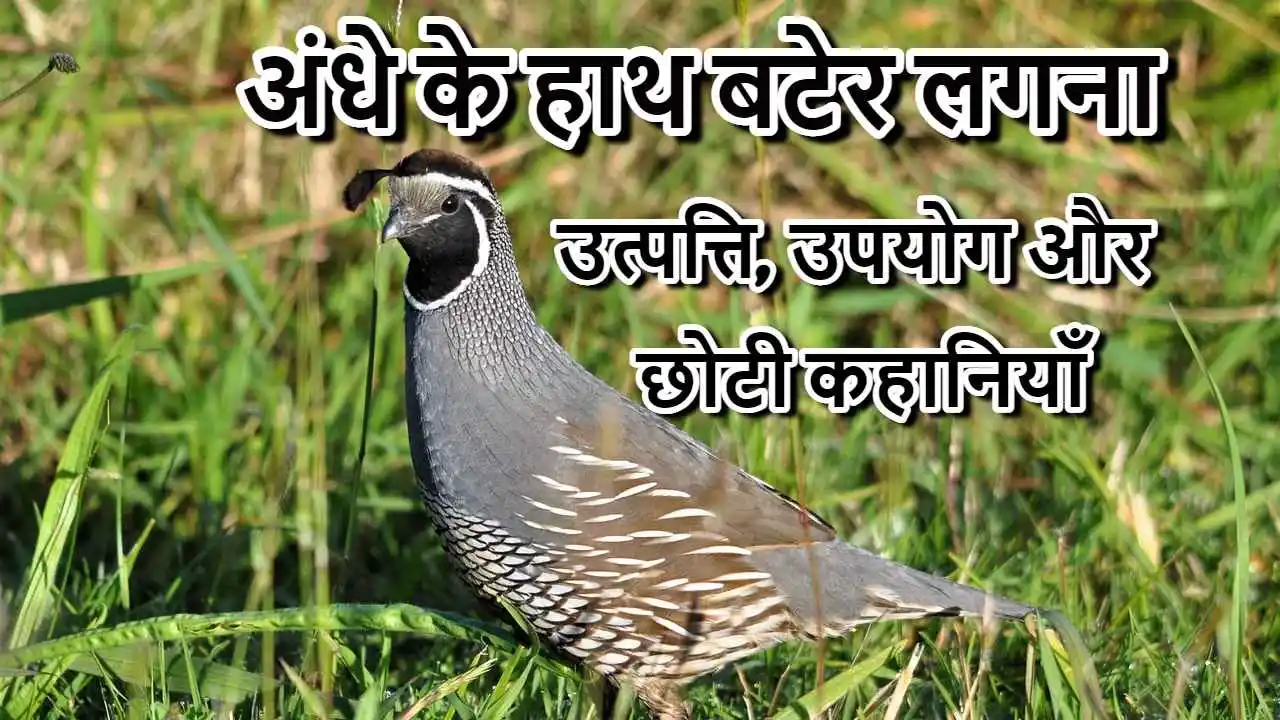 अंधे के हाथ बटेर लगना- मुहावरे की उत्पत्ति, उपयोग और 5 छोटी कहानियाँ