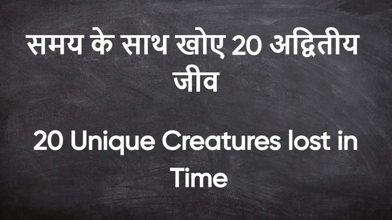 विलुप्त होती प्रकृति: समय के साथ खोए 20 अद्वितीय जीव! 20 Unique Creatures lost in Time