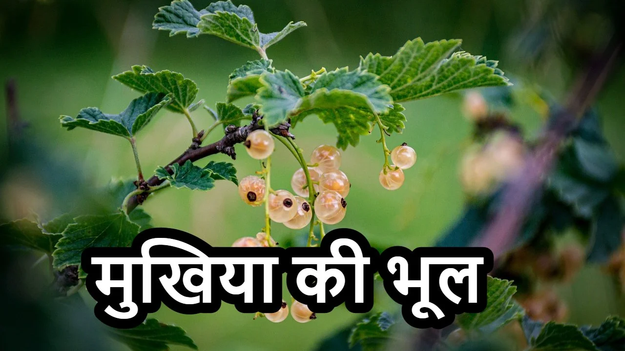 दुर्लभ औषधि का पौधा, बंदर और मुखिया की भूल: एक रोचक हिंदी कहानी