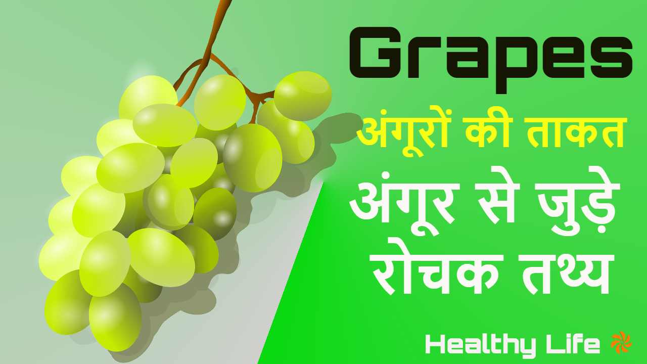अंगूर रसीला फल, रोचक तथ्य, अंगूरों की ताकत Interesting Facts About Grapes