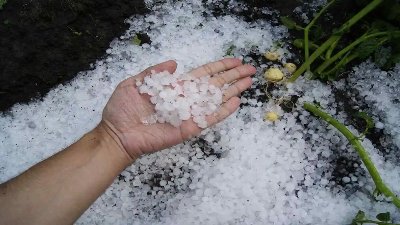 सिर मुंडाते ही ओले पड़ना मुहावरे पर आधारित अनोखी कहानियाँ (हिंदी लघु कथाएँ)